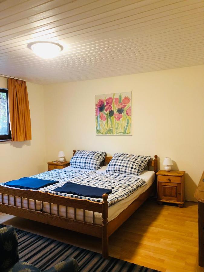 Haus Hubertus Appartement Willingen  Buitenkant foto