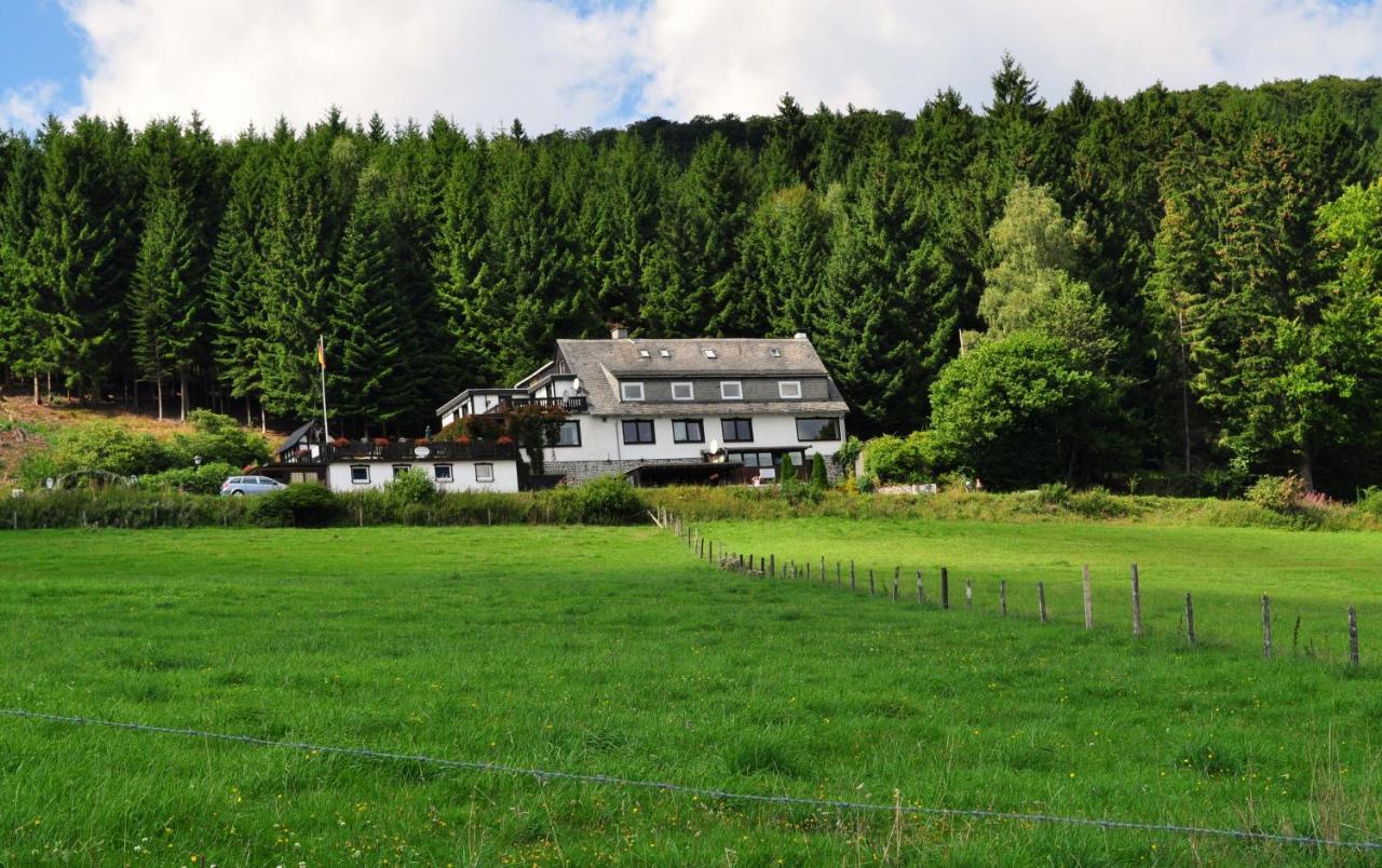 Haus Hubertus Appartement Willingen  Buitenkant foto