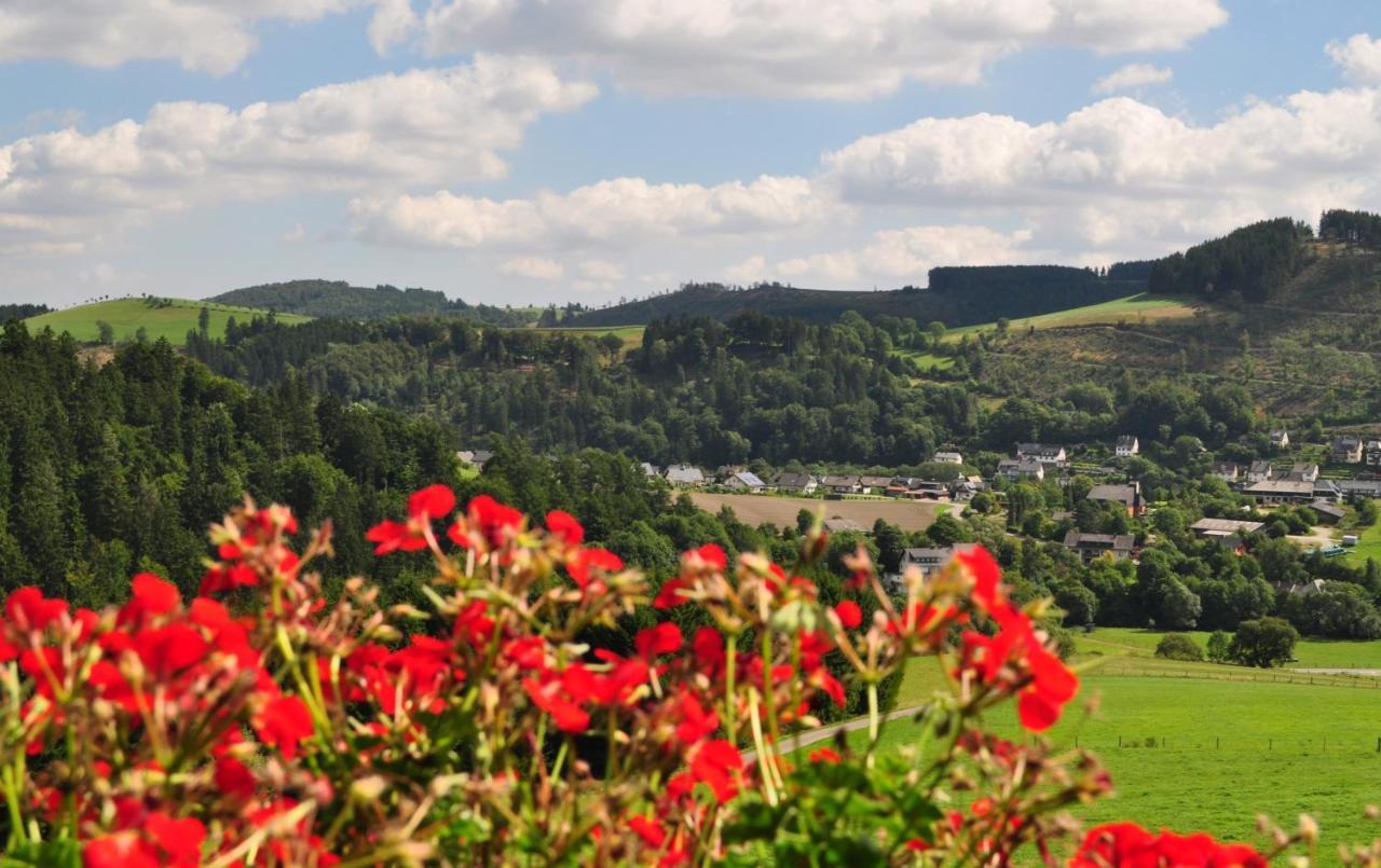 Haus Hubertus Appartement Willingen  Buitenkant foto